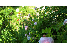 WP 20160618 08 58 04 Pro.jpg