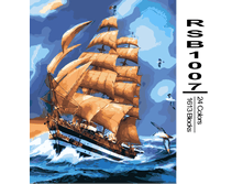 RSB1007 24-1613 副本 副本0002-500x500.png