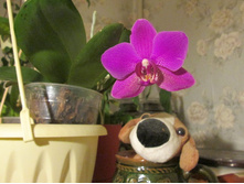 IMG 1333.JPG