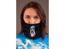 ��������� �������: ����-0000-0278