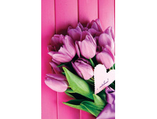 ����� ����������� ����� - M-8-30