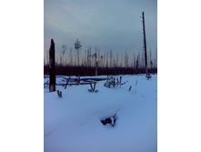 IMG 20170105 113306.jpg