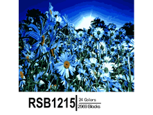 RSB1215 24-2969 副本0002-500x500.png