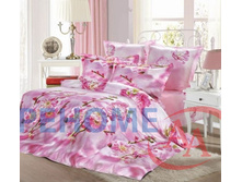 �149 ��� ����� +����� ������