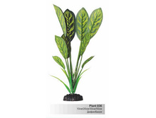 ���������� ��������  � ��������