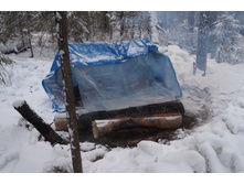 2017-01-05 10.21.56 cr.jpg