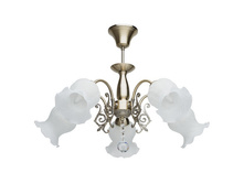 670010205 3200�.jpg