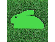 GAP-120-01 Green Apple ����������� ���� 31,5�21�1,8�� 220,00.jpg