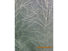 ��� ����� 4.jpg