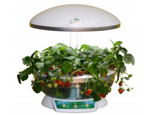 ����� ������� � �������� ����