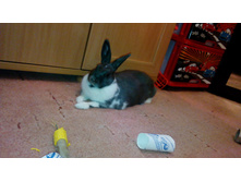 IMG 20160527 211113.jpg