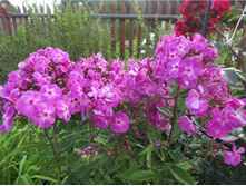 ����� ��������� � ����� ����������