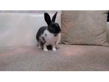 IMG 20151228 205525.jpg