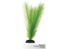 ������� ��̣���, � ��������