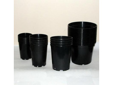 ������ ��� ������� 14x10,5 ����. ���� (55-495) ��� 00042111 7,51���.jpg