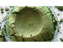 ������� ������ ����