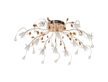 294015412 8000�.jpg