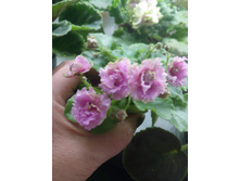 IMG 20161214 215924.jpg