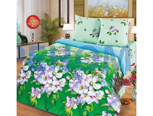 18/060 ��-142 ��� ���� ������ ����