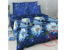 4486-1 ��� ������ ����� ���� ��������