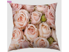 02365 ������� ����.jpg