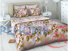 3866-2 ��� �������� ���� ���� ��������