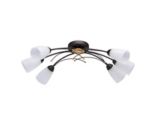 242016806 2600�.jpg