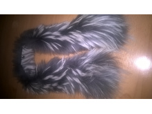 WP 20170119 14 04 13 Pro.jpg