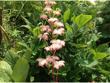 ��������� ���������������