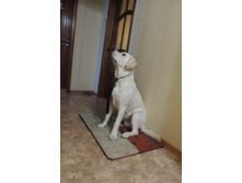 ����� �����