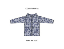 KGW17-96001A tem-sin-melan.jpg