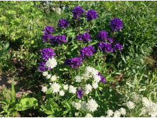 �����. ��������� ����������