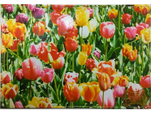 �-21 ����� 6 (197 ���).jpeg