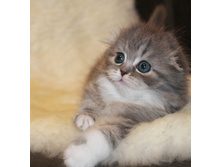 IMG 9914 ? �����.JPG