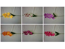 20-1880� ����� ������� 6 �����, 50 ��., �������, �����, ������, ���������, 1 ����� 39,8�