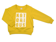 UD 2439(1)�������.JPG