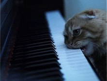 ��� "������" �� �������