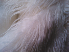 IMG 20170127 144122.jpg