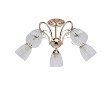 676012205 2600�.jpg