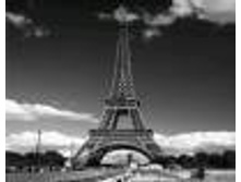 ������ ��� ������ 50-80��, ����������, �������� ��� �������� �����, ���.311519, ����� ��� 280,5.jpg