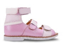 FT-26005.17-OL05O.01