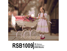 RSB1009 28-2066 副本0002-500x500.png