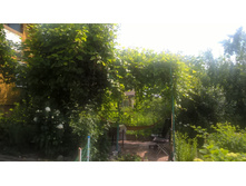 WP 20160622 09 21 37 Pro.jpg