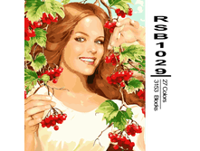 RSB1029 27-3153 副本0002-500x500.png