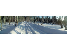 IMG 20170129 134845 1.jpg