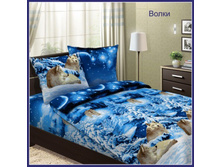 ����� - 730 ���