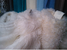 IMG 20170127 144103.jpg