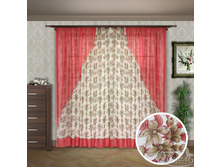 ���� ���� 138.jpg