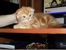 ������ �� 2017 087.jpg