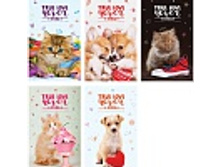 ������� �7 48�. �� ������� ������� 7,8.jpg